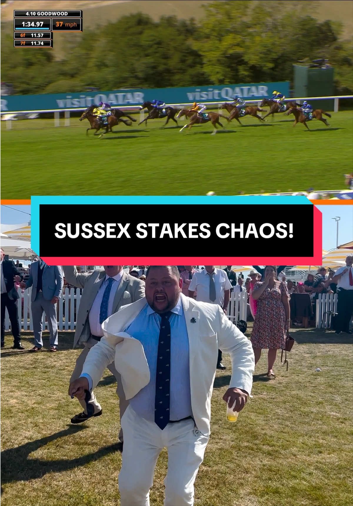 The highs & lows of racing 🐎 