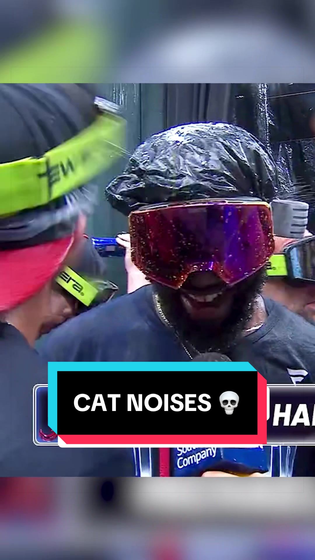 A new animal has entered the 