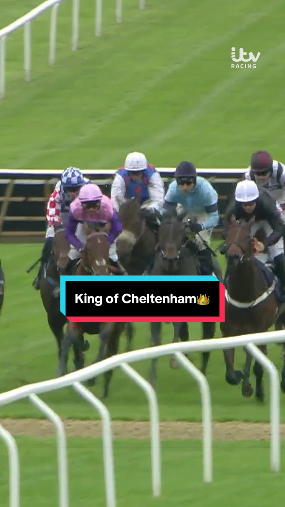 KING OF CHELTENHAM 👑
