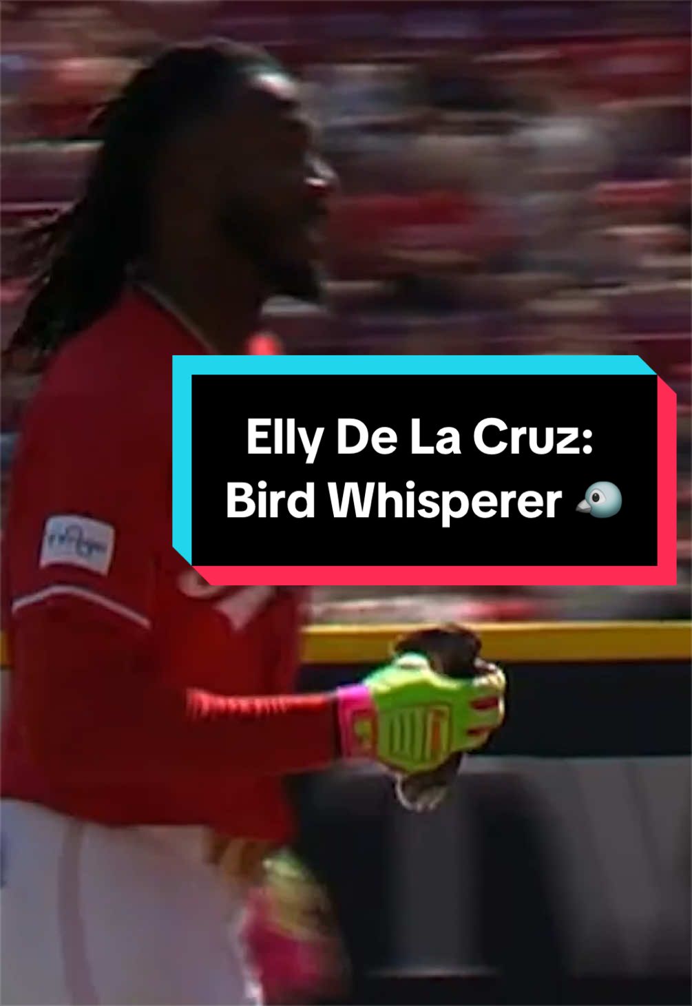 Elly De La Cruz: Bird Whisperer 🐦 