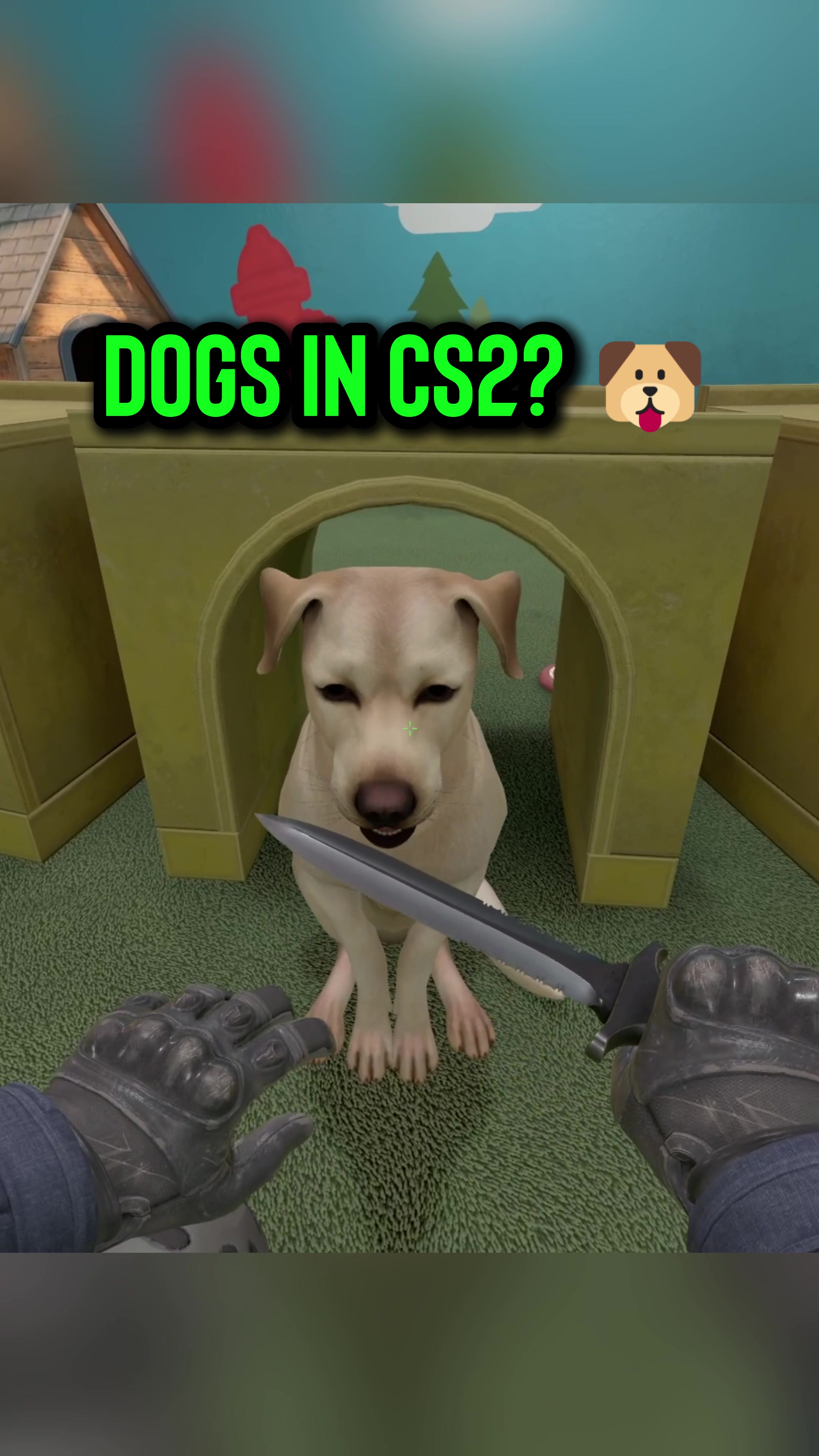 BEST UPDATE 🥹