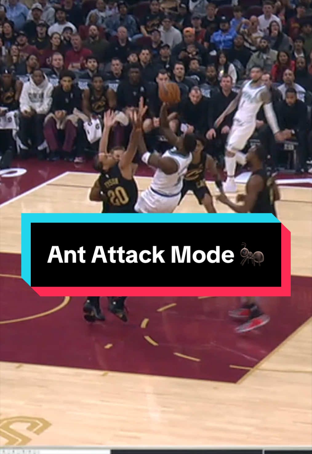 Ant getting the 