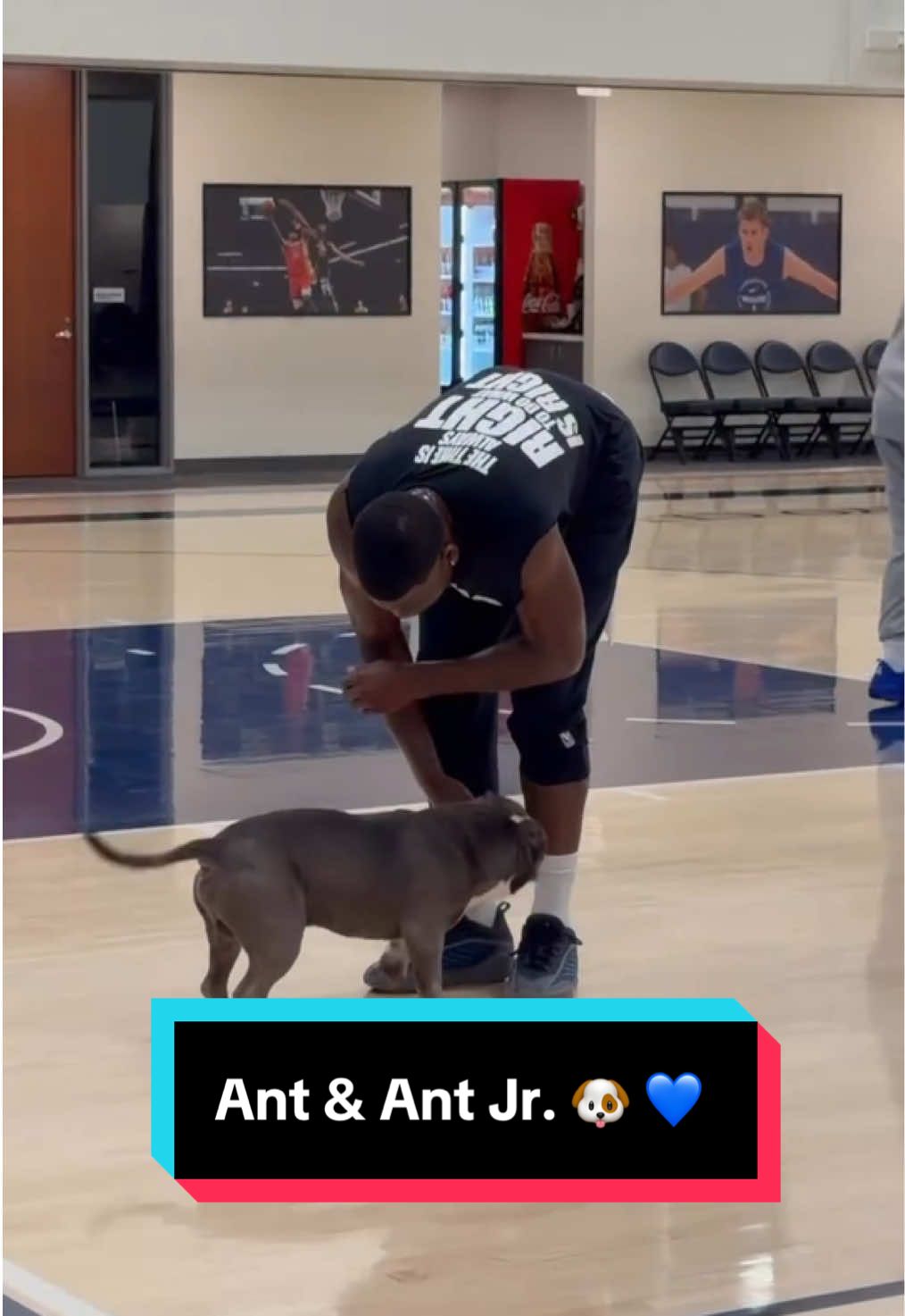 Celebrating National Dog Day with Ant Jr.! Throwback to earlier this summer when he tried taking the court with @Anthony Edwards  😂  (via: @Timberwolves) 