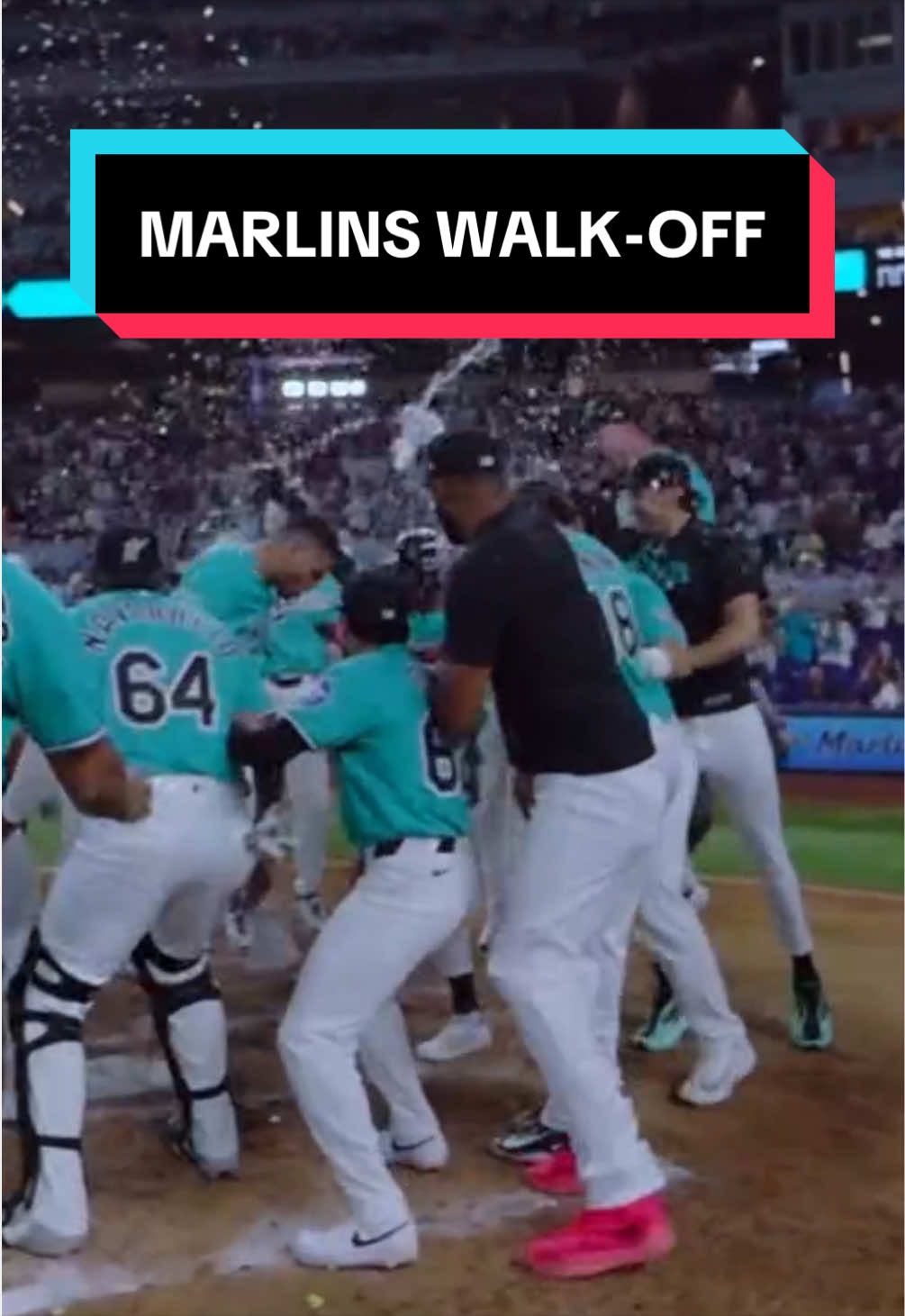 AGUSTÍN RAMÍREZ WALK-OFF HOMER!