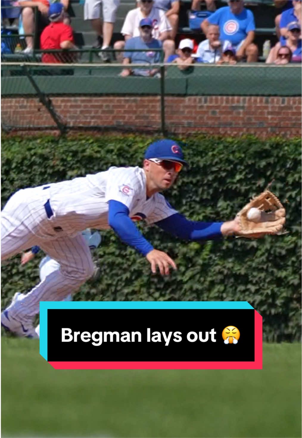 Alex Bregman showing off that Gold Glove defense 🤩