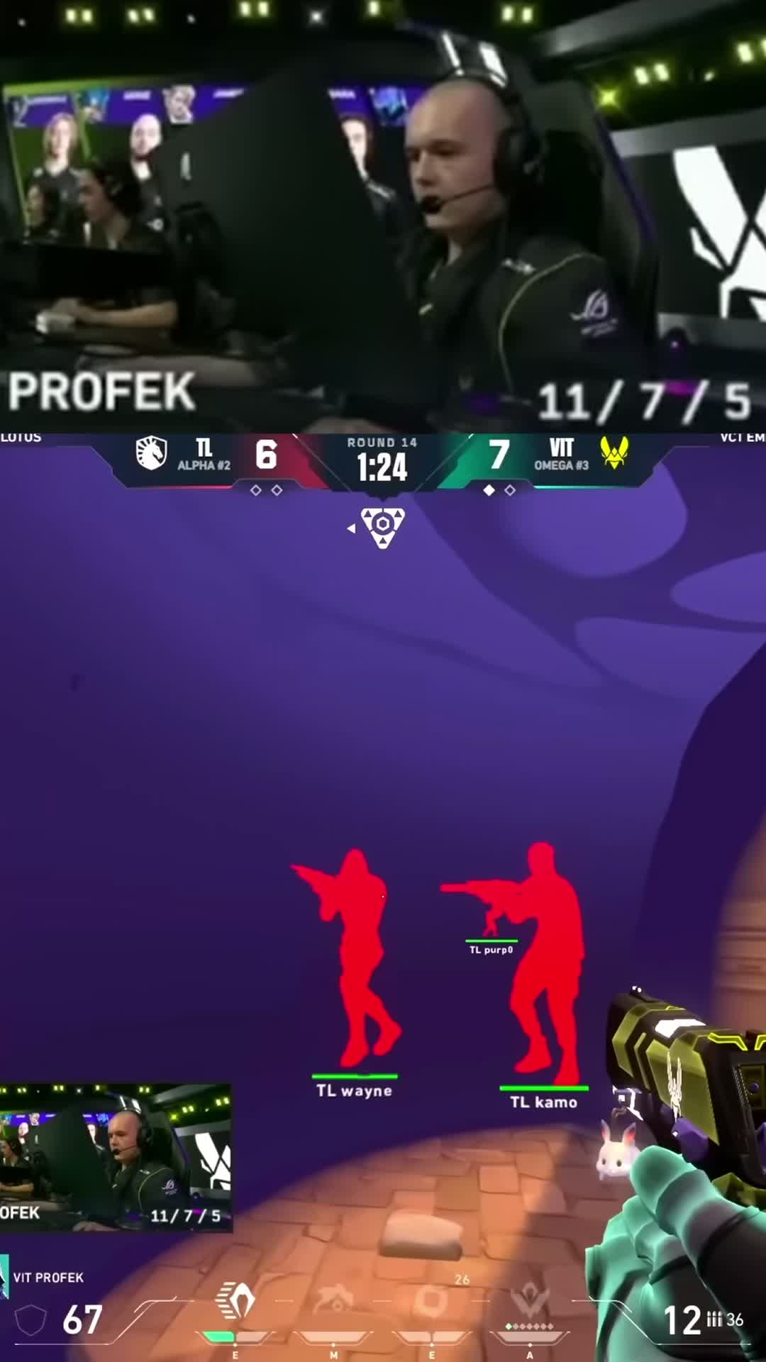 VITALITY CLASSIC WINS ROUNDS