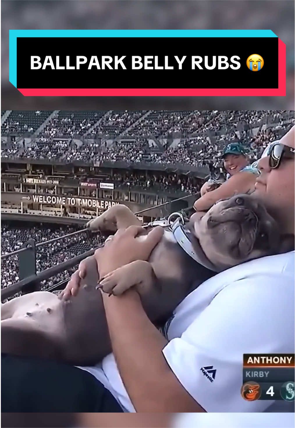 This dog had it better than anyone at the game 😂