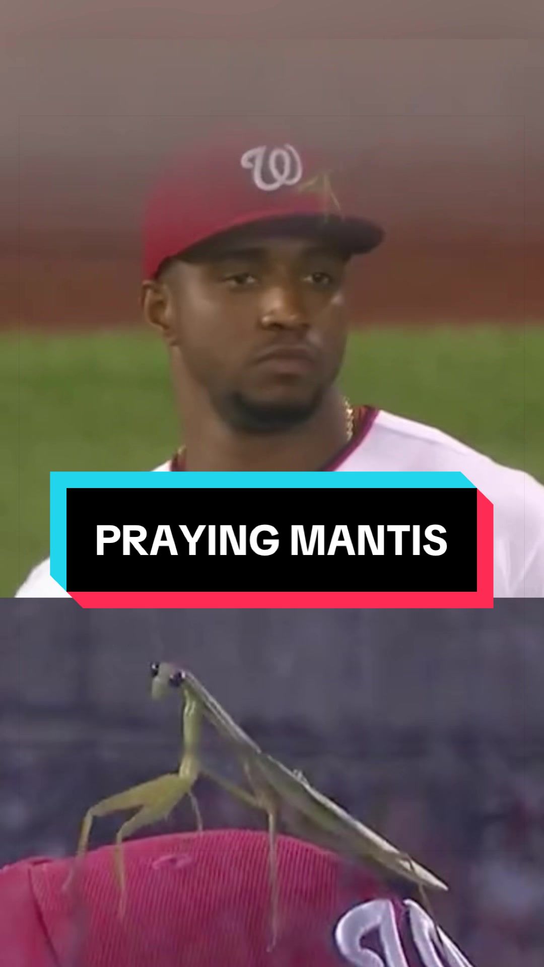 Thinking about when Victor Robles was telling the Praying Mantis on his cap how many outs there were 😭