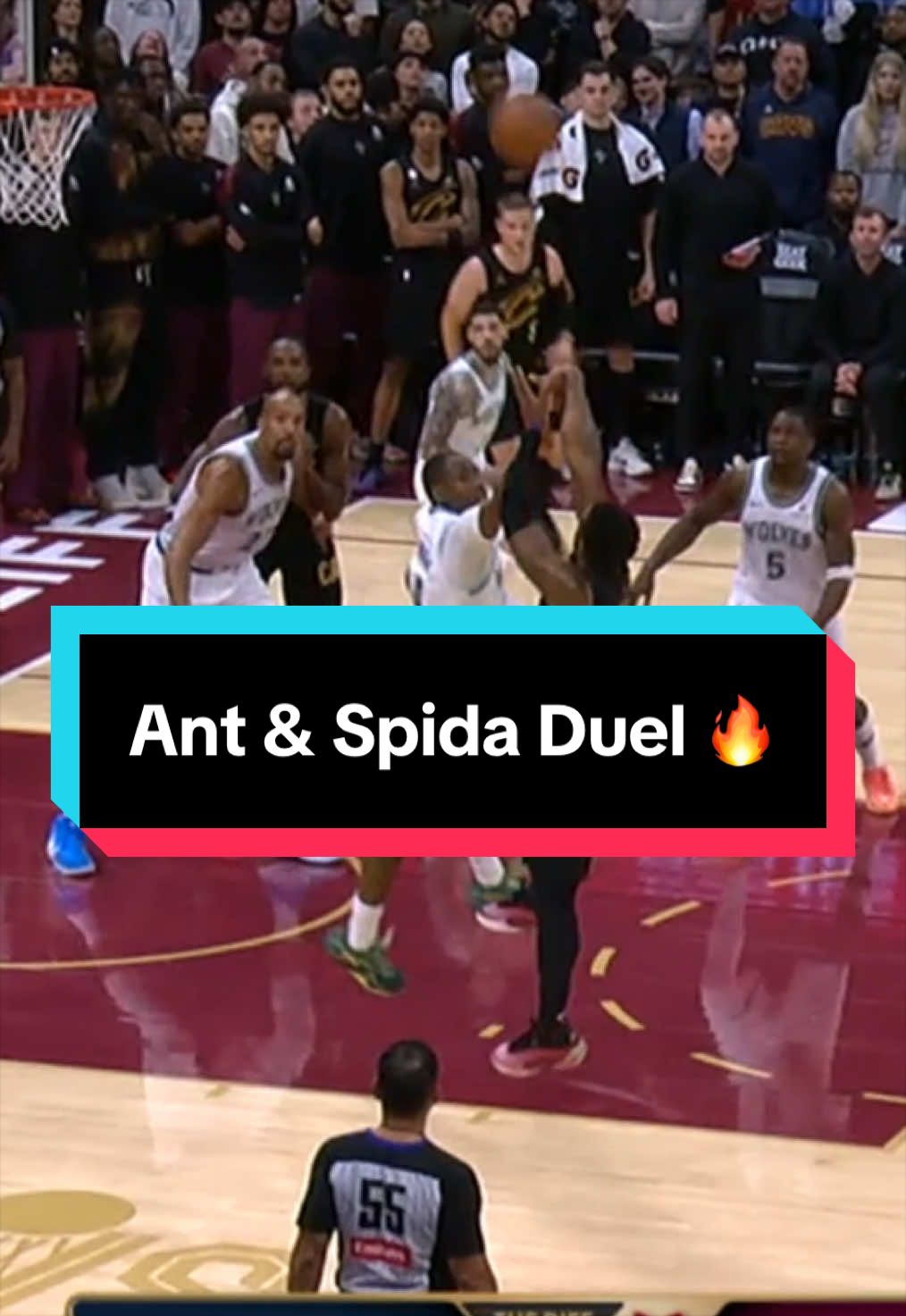These two were battling it out 😮‍💨 