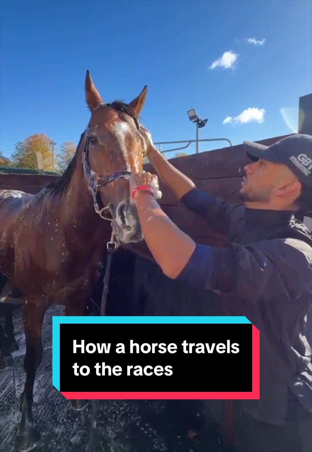 🔉How to travel a horse to the races! 